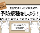 かわいいイラストWEB画像作成します ペット業界応援中！その他企業様も大歓迎！ イメージ2