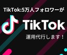 あなたの育てたいtiktokを運用代行します フォロワー5万人の私が30日間tiktokを大切に育てます。 イメージ1