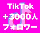 Tiktokフォロワー3000人増やします 評価貯まるまで最安★フォロワー確実に増加させます！ イメージ2