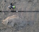 サーフで誰でも簡単にヒラメを釣る方法を教えます ヒラメを誰でも簡単に釣る方法を教えます。（サーフ） イメージ1