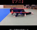 お子さんと一緒に運動できるメニュー作ります 楽しく動いて運動不足解消！お子さんも遊びながら運動できる！ イメージ1