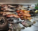 初めての魚突きをゼロからサポートします 経験者が安全な始め方と道具選びを丁寧にサポート イメージ3