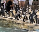 初心者向けのタイ旅行のご相談に対応いたします 訪泰歴17年タイ人の友達多数、私の知りうる情報を提供します。 イメージ6