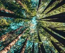 人生をより良くする姓名判断致します 日常生活に姓名判断をもっと活かそう イメージ3
