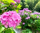 人には言いにくいあなたの自慢話とことん聞きます 自慢したいけど最適な知り合いがいない…そんな時ありますよね イメージ5