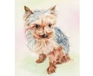 ペット似顔絵　手描きの水彩画で優しく描きます 犬・猫その他ペット全般の似顔絵/プレゼントにもオススメ◎ イメージ4