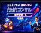 各種SNS運用のアドバイスやコンサルを承ります YouTube・TikTok・Instagram・Xなど イメージ1