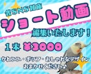 1本3000￥！ショート動画編集いたします かわいいものからおしゃれなものまで！丁寧に仕上げます！ イメージ1