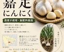 想いが伝わるチラシ・ポスター・動画編集を制作します 心に届くデザインで商品の魅力を伝えます イメージ2