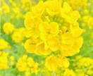 落ち着いた環境で話したい方のお話を聞きます [30分チャット]60・90・120分はオプションにてご対応 イメージ4