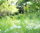 5分だけでも☆もちろん長時間でも！お話し聴きます 人に話しにくい内容でも、あなたの気持ちに寄り添います イメージ2