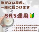 SNS運用相談◇伸びない原因を一緒に見つけます SNS運用初心者さん、リソースが少ない方も歓迎 イメージ1