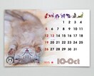 猫の愛くるしい瞬間を集めたフォトカレンダー作ります 2025年度版縁なしフル画像の卓上カレンダーで毎日を一緒に! イメージ8