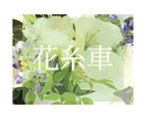 エネルギーカラーと細胞レベルで似合う色を鑑定します パーソナルカラーじゃない！細胞から輝く最強の色がある✨ イメージ10