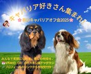 インスタ投稿・広告画像を丁寧に制作いたします 目を引くデザインで、フォロワーの目に止まる投稿広告を作ります イメージ3