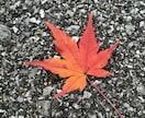 お話聞きます お悩みをききます。ご希望に応じて聞き役になります。 イメージ1