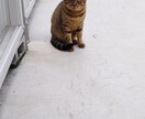 アナタの愚痴や相談を何でも聞きます 時に笑って、時に真面目に、何でも話してスッキリしませんか？ イメージ1