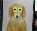ペットやお好きな生き物の絵を描きます 写真とは違う絵の良さを表現します！ イメージ7
