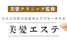女性向けデザインのLPを制作します ペライチでLP制作サポートします イメージ4