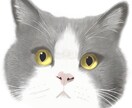 大切なペットを柔らかい雰囲気で描きます 柔らかな雰囲気で描くペットの絵が欲しい方へ イメージ1