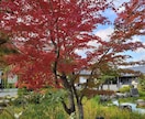 あなたのお話なんでも聞きます 人生のツラいは乗り越えられるから話して心軽くなりますように イメージ1