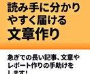 読み手に分かりやすく届ける文章作りの手助けをします 急ぎでの長い記事、文章やレポート作りの手助けをします！ イメージ1