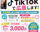 フォロワー1万5千人のTikTokで広告します 【7月中のみ！】再生時間に応じた料金で安心と信頼の広告効果！ イメージ1