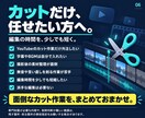 YouTube動画のカット編集を代行します 無音・言い直し・長い間をまとめてカット イメージ6
