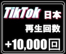 TikTok日本人の再生回数【1万回】増やします TikTok集客・チャンネル増やし・宣伝・拡散手伝います！ イメージ7