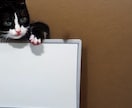 猫のホワイトボードを販売しています WEBサイトなどで、お知らせ用掲示板にご利用ください。 イメージ7