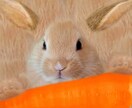画像の切り抜き、カット、コラージュ等承ります 画像編集関係全般、文字入れ、お任せください！ イメージ3