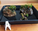 ビオトープつくります メダカなどを育てるためのビオトープを作ります。 イメージ2
