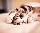 貴方を快眠へ導きます。但し、30分だけ投資頂きます 最強の快眠法など、あらゆる手段を使って快眠のお手伝いをします イメージ1