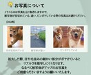 手描きデジタルで世界に一つの犬猫似顔絵を制作します 思い出の写真をデジタルタッチで可愛いわんにゃん似顔絵に♡ イメージ8