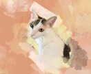 ペットのお写真を世界に一つだけのアートに仕上げます お気に入りのお画像をカタチに！ イメージ3