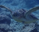 フリー素材提供します 海素材多め、風景など色々あります。 イメージ1