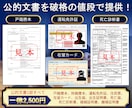 即購入可一律2500円公的文書と日英翻訳します 日英翻訳も受付中・事務作業もおまかせネイティブ希少人材の翻訳 イメージ2