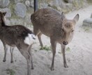 大手案件経験のプロが動画編集いたします 思いを込めて撮影された動画、作品に仕上げます。 イメージ4