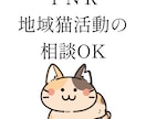 TNRのやり方を経験者が教えます 動物看護師が丁寧にアドバイスします イメージ1