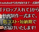 Youtubeや社内向けの動画制作します 「テロップ入れたい」から本格的編集までをお手頃価格で！ イメージ1