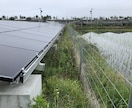 産業用低圧太陽光発電所の除草作業を行います 年3回、都度写真報告付きなので安心です イメージ2