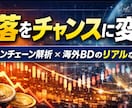 暴落時の戦略 データから保有通貨の健全性診断ます Web3・暗号資産の仕組みと稼ぎ方をプロが伝授 イメージ1