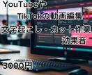 YouTubeの動画編集をします YouTubeやTikTokなど。 イメージ1