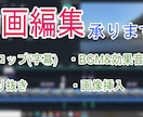 インスタ～Youtube動画編集します １分程度の簡単な動画からYoutube動画までお任せ！ イメージ1