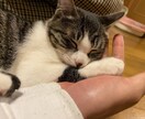あなたの悩みを18歳の男性が相談にのります 分かり合えないこと、人に言えないこと全て聞きます。 イメージ1