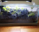 滝のあるアクアテラリウムをつくります イモリを飼育したい方や、苔に興味のある方へ イメージ10