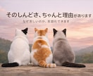 そのしんどさには理由がある｜気持ちを言語化します 考えても分からない気持ち、整理します。 まず「理解」から。 イメージ1