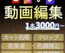 バズを狙うショート動画編集作ります 安心と品質を大切にした動画編集 イメージ1