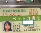 多頭飼い等犬の飼育悩み相談にのります ペット介護士資格あり。犬4匹飼ってます。 イメージ1