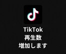 TikTokの再生数が増えるよう拡散します TikTok | 10000再生増加 | 減少なし イメージ1